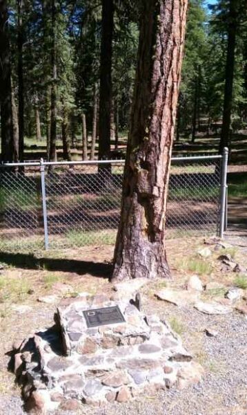 MITCHELL MONUMENT SHRAPNEL TREE