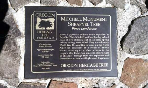 MITCHELL MONUMENT SHRAPNEL TREE PLAQUE