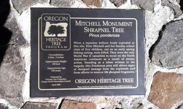 MITCHELL MONUMENT SHRAPNEL TREE PLAQUE