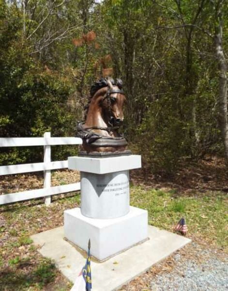 CIVIL WAR HORSE CAVALRY WAR MEMORIAL
