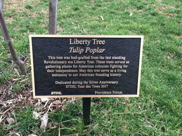 LIBERTY TREE TULIP POPLAR MEMORIAL PLAQUE