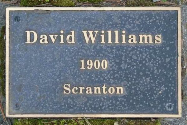 WAR HERO MEMORIAL PINERY HONOR PLAQUE P