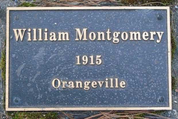 WAR HERO MEMORIAL PINERY HONOR PLAQUE G