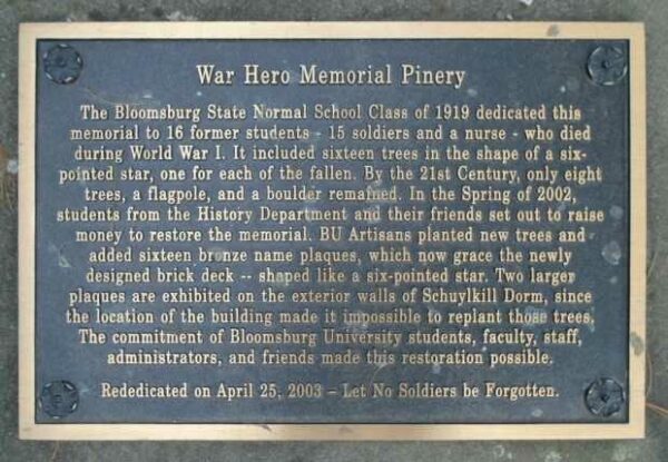 WAR HERO MEMORIAL PINERY PLAQUE A