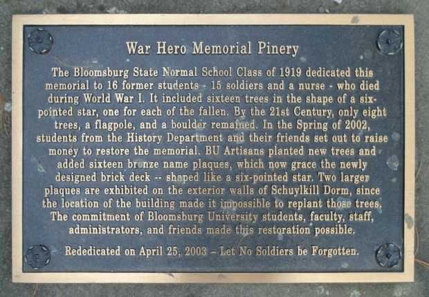 WAR HERO MEMORIAL PINERY PLAQUE A