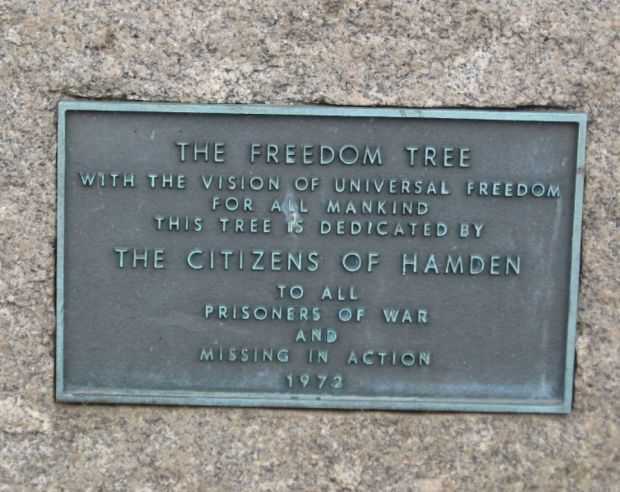 THE FREEDOM TREE CITIZENS OF HAMDEN MEMORIAL PLAQUE