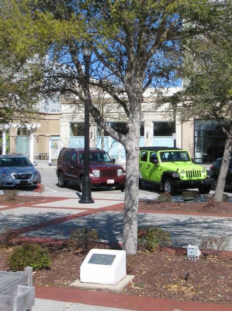 THE FREEDOM TREE MAJ. ANTHONY SHINE MEMORIAL
