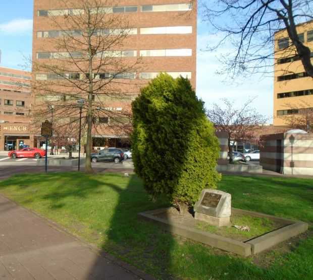 4TH-5TH-7TH-8TH WARDS WORLD WAR II HONOR ROLL MEMORIAL TREE