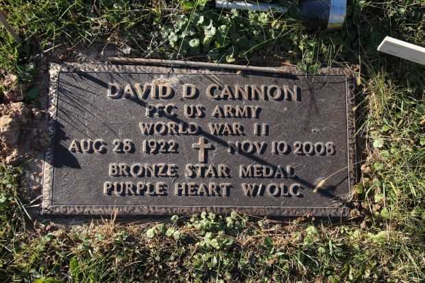 DAVID D CANNON MEMORIAL CEMETERY STONE