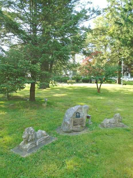 MOUINTAIN CITY LIONS CLUB VETERANS MEMORIAL TREE