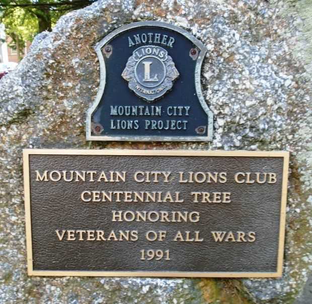 MOUNTAIN CITY LIONS CLUB VETERANS MEMORIAL TREE PLAQUE