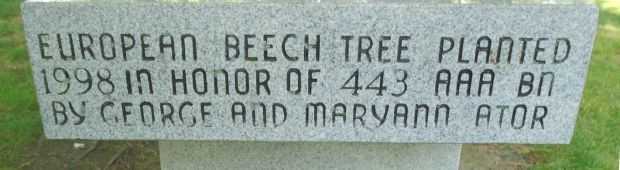 443 AAA BN EUROPEAN BEECH TREE MEMORIAL STONE