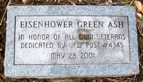 CALIFORNIA, MO EISENHOWER GREEN ASH MEMORIAL STONE