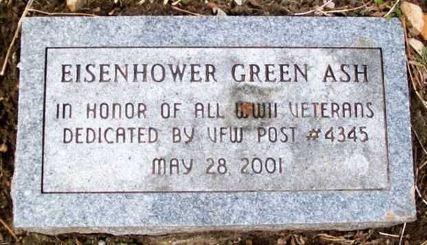 CALIFORNIA, MO EISENHOWER GREEN ASH MEMORIAL STONE