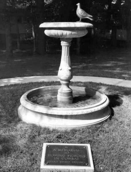 A MEMORIAL TO HOMING PIEGEONS IN COMBAT MEMORIAL BIRDBATH