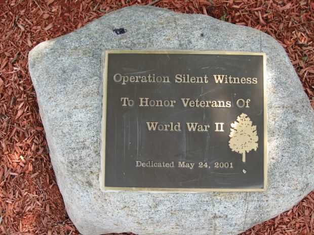HAWTHORNE OPERATION SILENT WITNESS MEMORIAL TREE PLAQUE