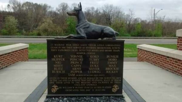 KNOXVILLE WAR DOG MEMORIAL STATUE BACK