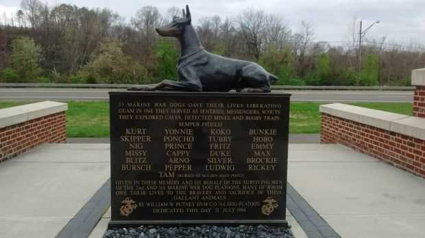 KNOXVILLE WAR DOG MEMORIAL STATUE BACK