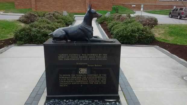 KNOXVILLE WAR DOG MEMORIAL STATUE FRONT