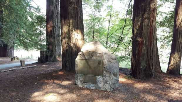 NATIONAL TRIBUTE GROVE WAR MEMORIAL STONE