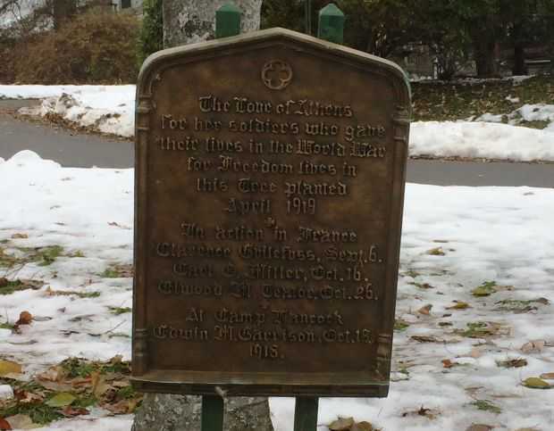 ATHENS WORLD WAR MEMORIAL TREE PLAQUE