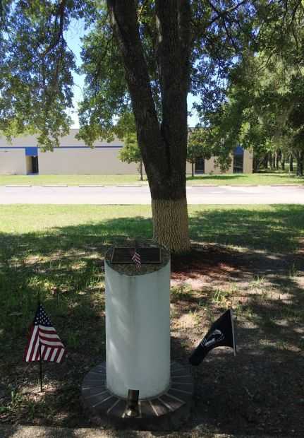 THE FREEDOM TREE LT. ROBERT J. DWYER CVW-8 MEMORIAL