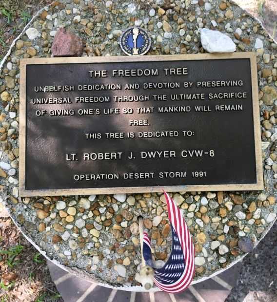 THE FREEDOM TREE LT. ROBERT J. DWYER CVW-8 MEMORIAL PLAQUE