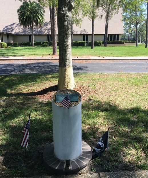 THE FREEDOM TREE LT. DALE RAEBEL WAR MEMORIAL