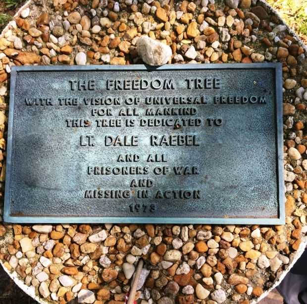 THE FREEDOM TREE LT. DALE RAEBEL WAR MEMORIAL PLAQUE