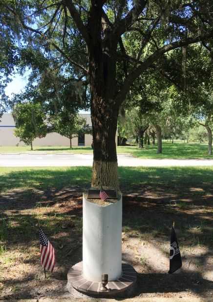 THE FREEDOM TREE LCDR M. SCOTT SPEICHER VFA-81 WAR MEMORIAL