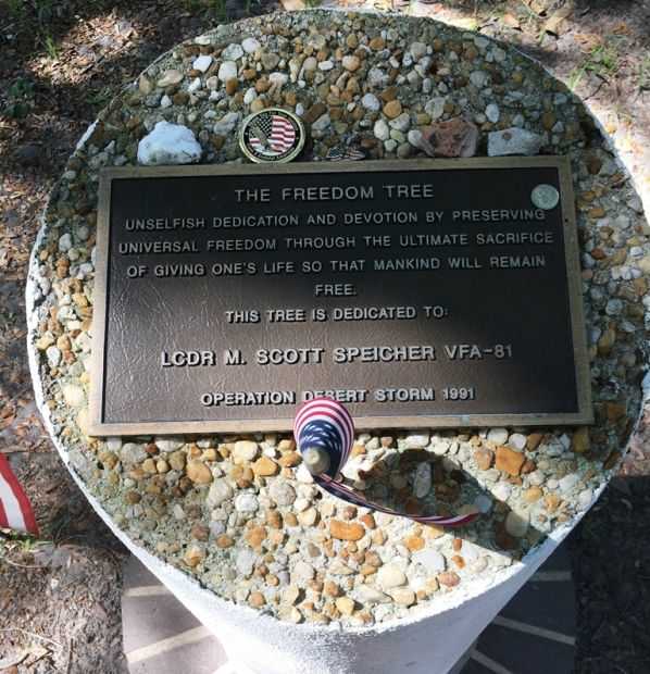 THE FREEDOM TREE LCDR M. SCOTT SPEICHER VFA-81 WAR MEMORIAL PLAQUE