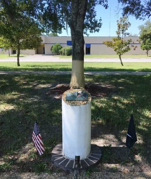 THE FREEDOM TREE CAPT. BRUCE NYSTROM WAR MEMORIAL
