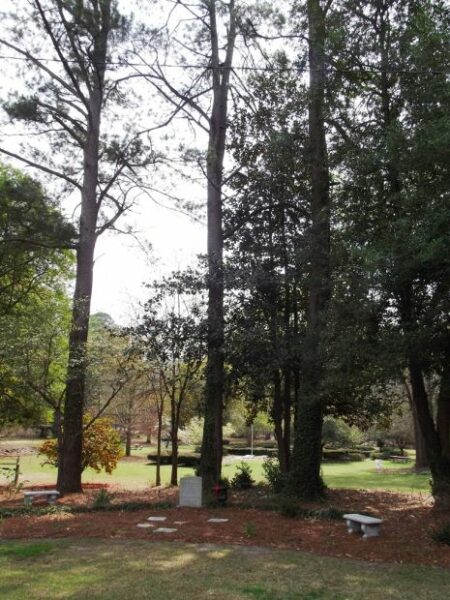 WILDWOOD GARDEN CLUB WORLD WAR II MEMORIAL PINE TREES