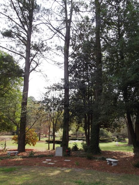 WILDWOOD GARDEN CLUB WORLD WAR II MEMORIAL PINE TREES