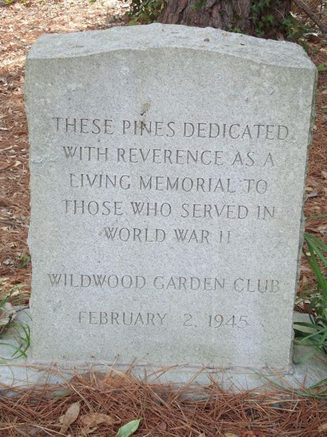 WILDWOOD GARDEN CLUB WORLD WAR II MEMORIAL PINE TREES STONE
