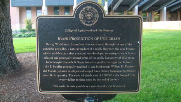 MASS PRODUCTION OF PENICILLIN MEMORIAL PLAQUE