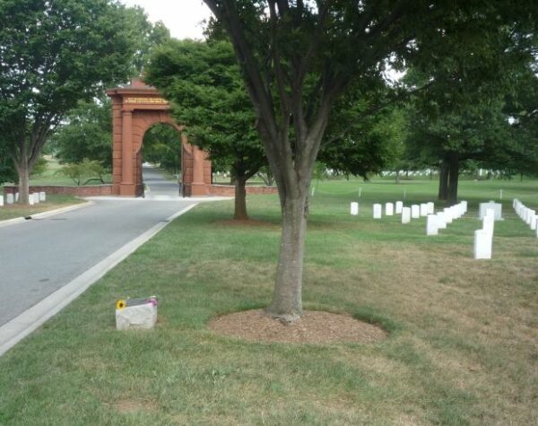 U.S.S. HOUSTON (CA-30) AND H.M.A.S. PERTH MEMORIAL TREE