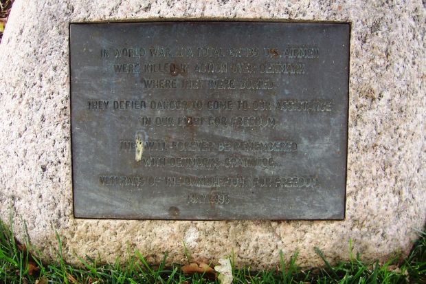 MEMORIAL TO US AIRMAN KILLED IN DENMARK TREE PLAQUE