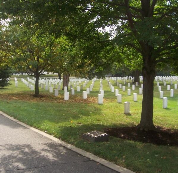 92D INFANTRY DIVISION WAR MEMORIAL TREE