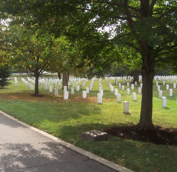 92D INFANTRY DIVISION WAR MEMORIAL TREE