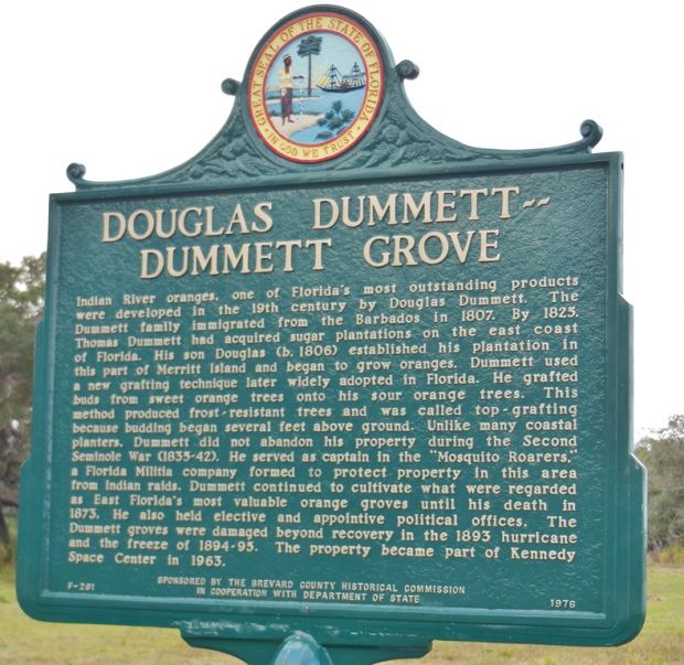 DOUGLAS DUMMETT-DUMMETT GROVE MEMORIAL MARKER