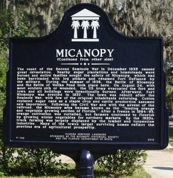 MICANOPY MEMORIAL MARKER BACK