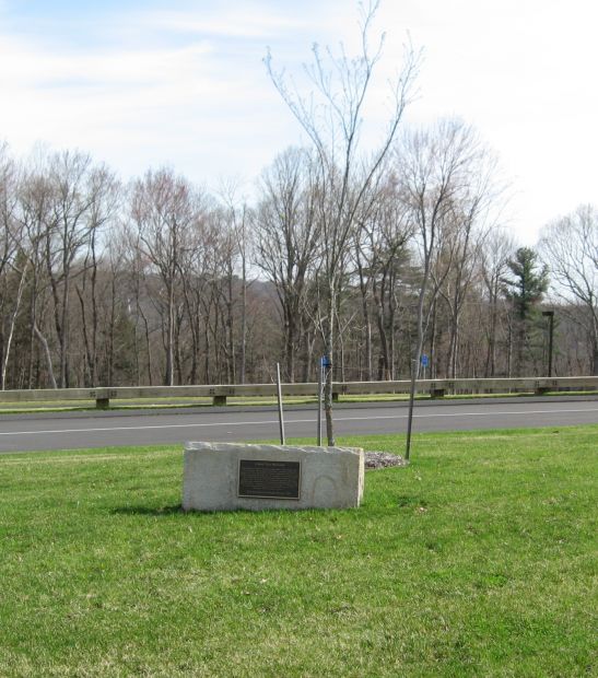 HARWINTON LIBERTY TREE MEMORIAL