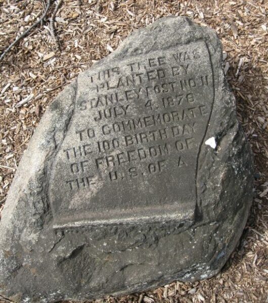 100 BIRTHDAY OF FREEDOM TREE MEMORIAL STONE