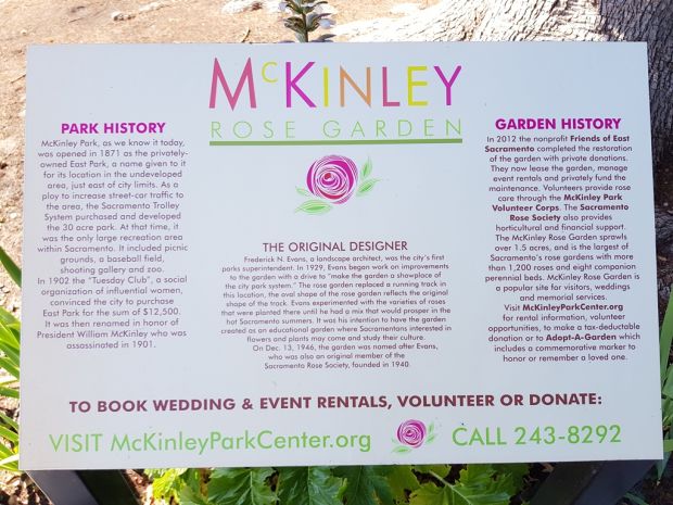 MCKINLEY ROSE GARDEN MEMORIAL PLAQUE