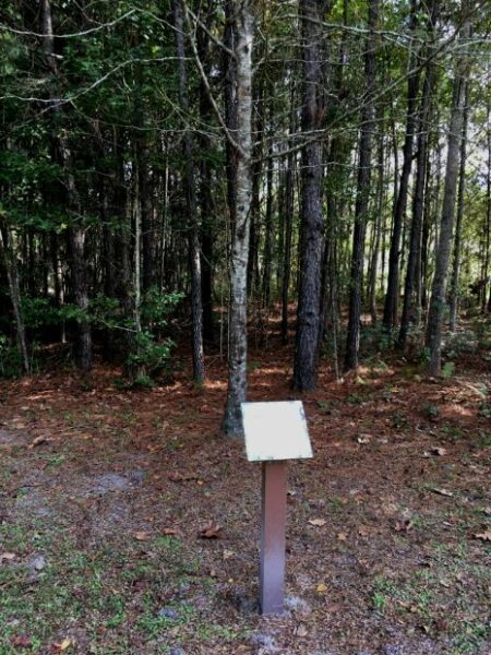GETTYSBURG ADDRESS HONEYLOCUST WAR MEMORIAL TREE