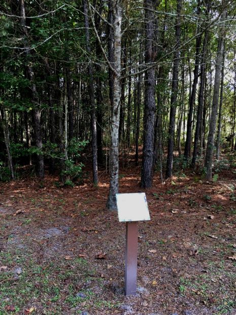 GETTYSBURG ADDRESS HONEYLOCUST WAR MEMORIAL TREE