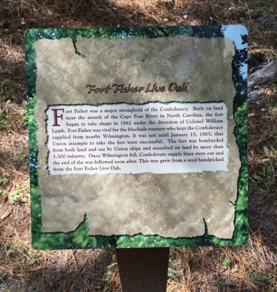 FORT FISHER LIVE OAK WAR MEMORIAL TREE PLAQUE