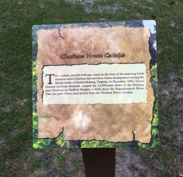 CHATHAM HOUSE CATALPA WAR MEMORIAL TREE PLAQUE