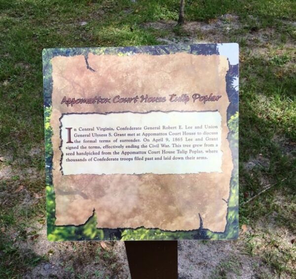APPOMATTOX COURT HOUSE TULIP POPLAR WAR MEMORIAL TREE PLAQUE